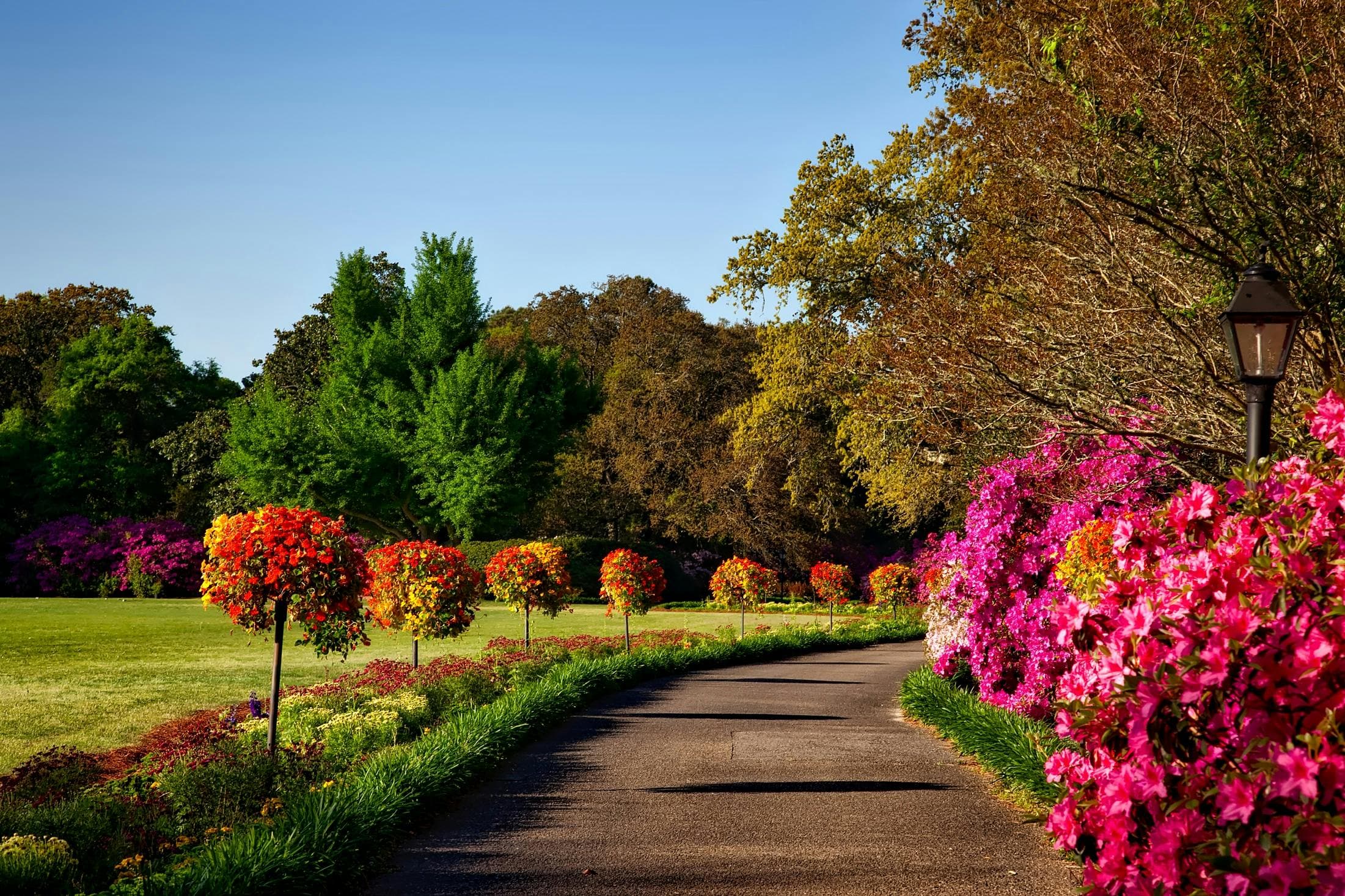 Shortfundly Rent - Find perfect studio and equipment rental spaces - Garden venue background image