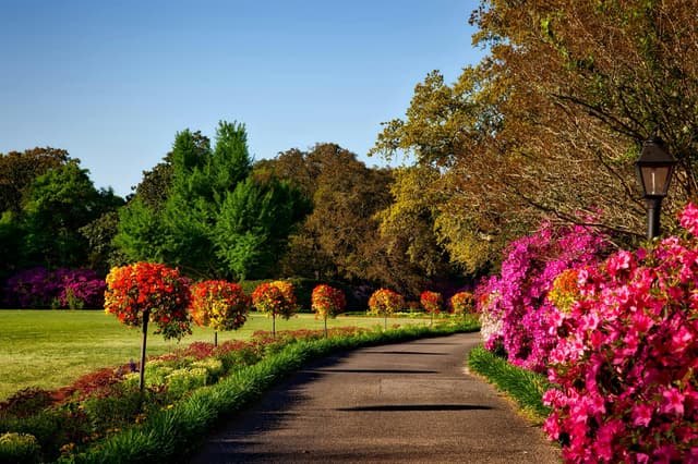 Gardens