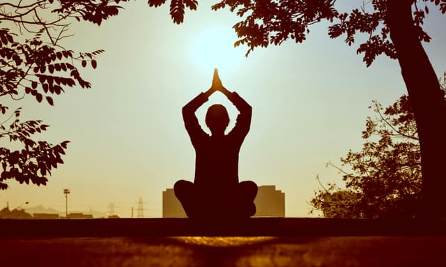 Yoga Studio