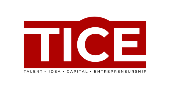 TICE logo